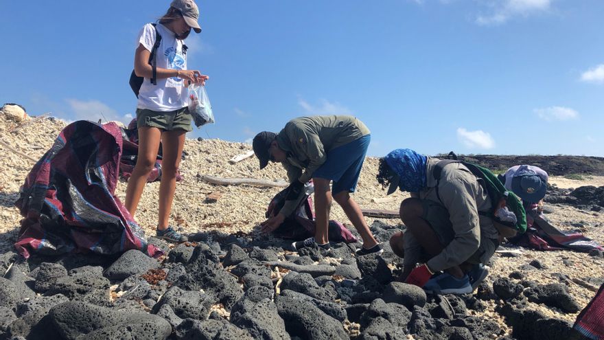 Fotografía sin fechar y cedida por la Dirección de Comunicación del Parque Nacional Galápagos que muestra a guardaparques, técnicos y voluntarios de las Islas Galápagos mientras realizan la clasificación y recolección de desechos sólidos
