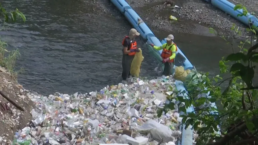 Marea Verde avanza con el proyecto siete cuencas