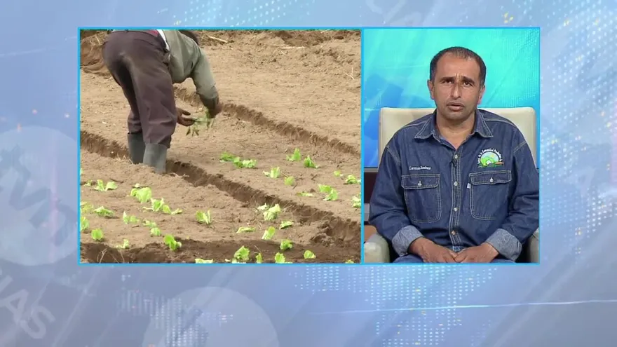 Cuestionan extensión del Control de Precios