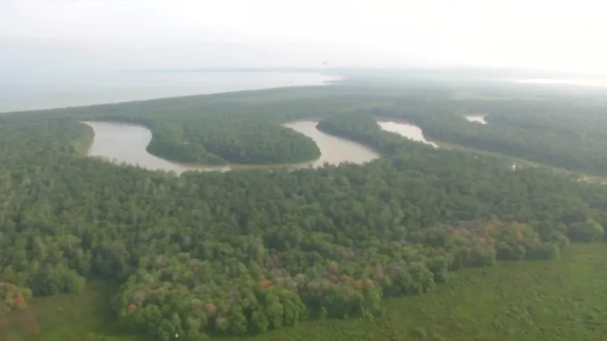 Empresas extranjeras interesadas en la exploración de petróleo en el caribe panameño.