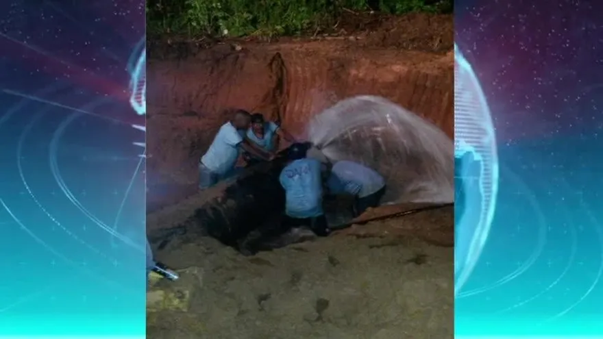 Continúan trabajos en daño de tubería en Arraiján