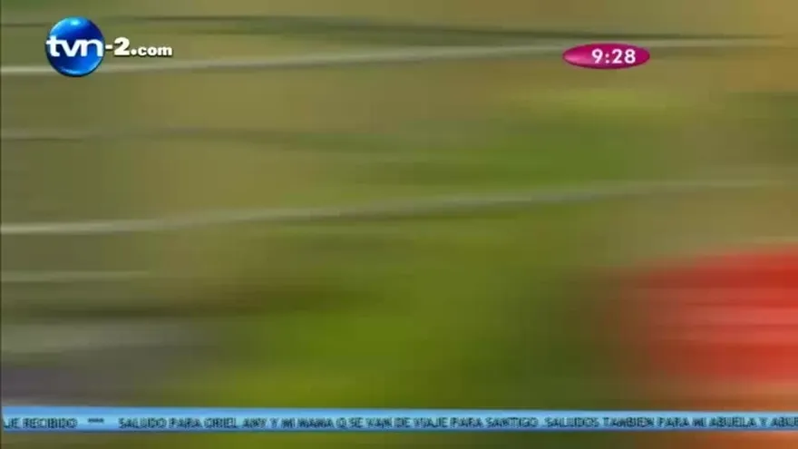 4to Concurso del Loro Parlanchín