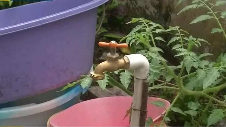 Residentes de Los Andes N° 1 denuncian escasez de agua potable desde hace dos años