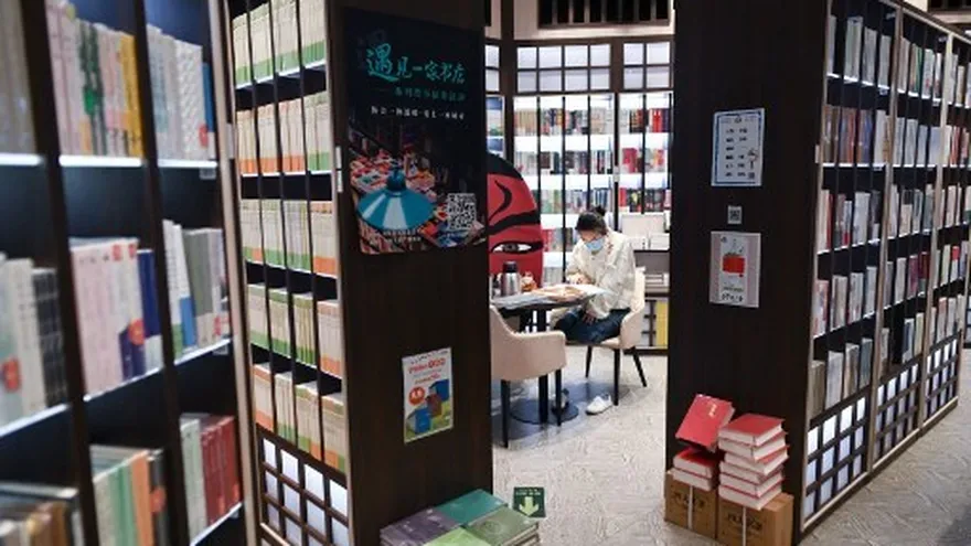 Foto ilustrativa: una persona en una biblioteca