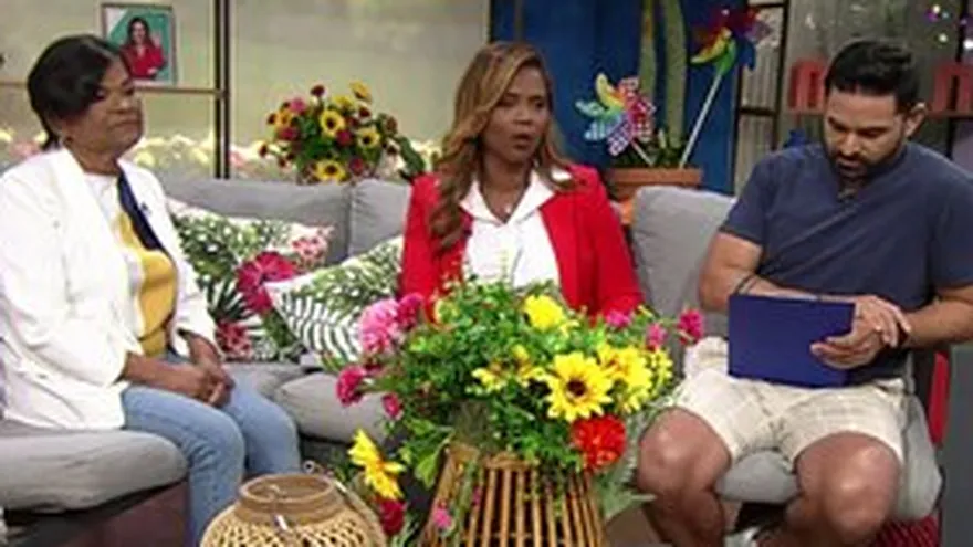 ¡Con testimonio! La violencia doméstica en Panamá