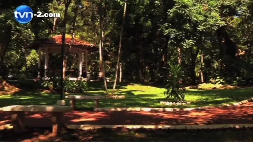 Estudiantes de la UTP se preparan para el decatlón latinoamericano con proyecto innovador