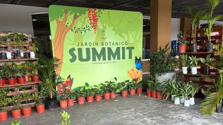 Nuevo Jardín Botánico Summit funciona dentro del Mercado San Felipe Neri como parte de las iniciativas para promover la sostenibilidad en la ciudad de Panam