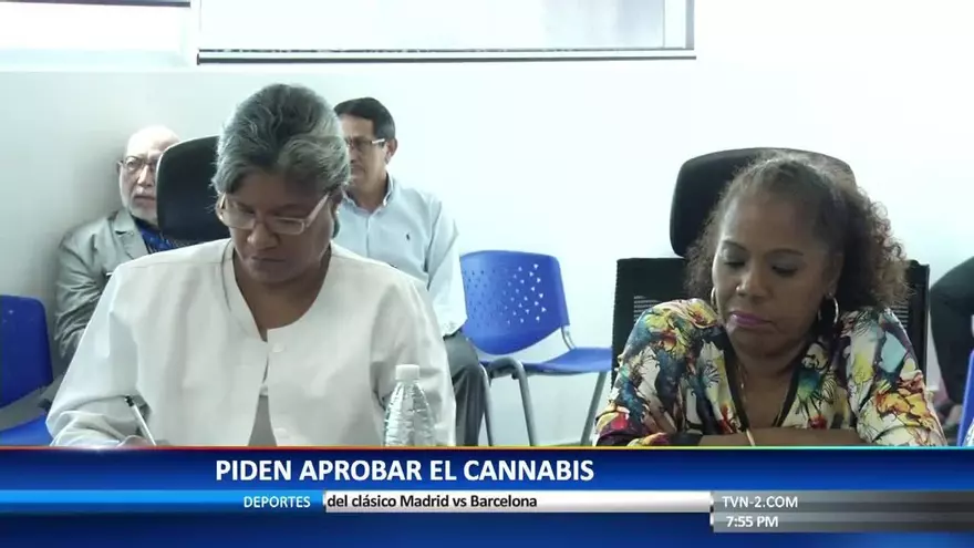 Siguen las consultas de proyecto de Ley sobre Cannabis
