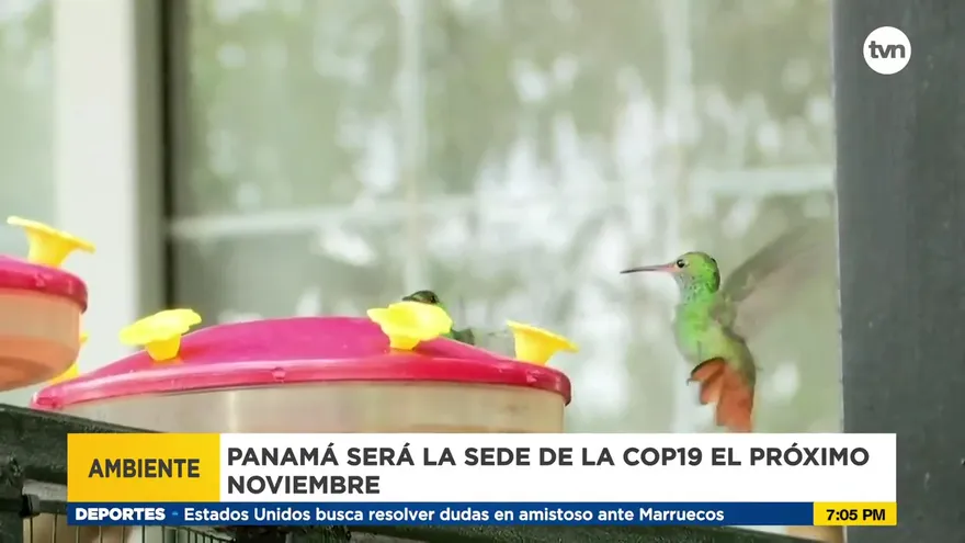 Panamá será la sede de la Cumbre Ambiental