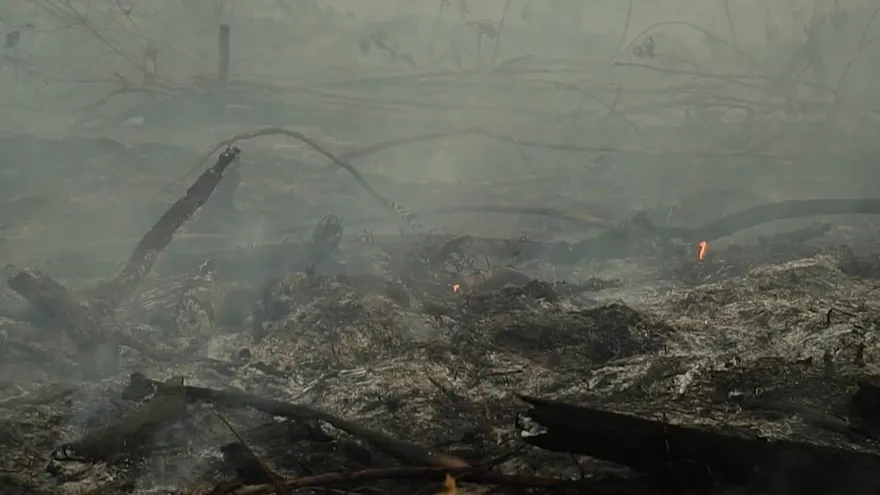 Enormes incendios consumen el bosque tropical de Indonesia