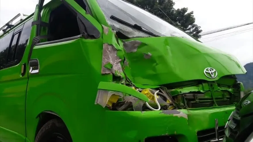 Búfalo ocasiona accidente en Bocas del Toro