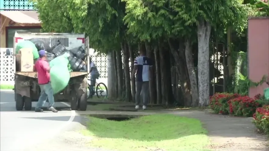 Los ‘caza cochinos’ se activan en Coclé