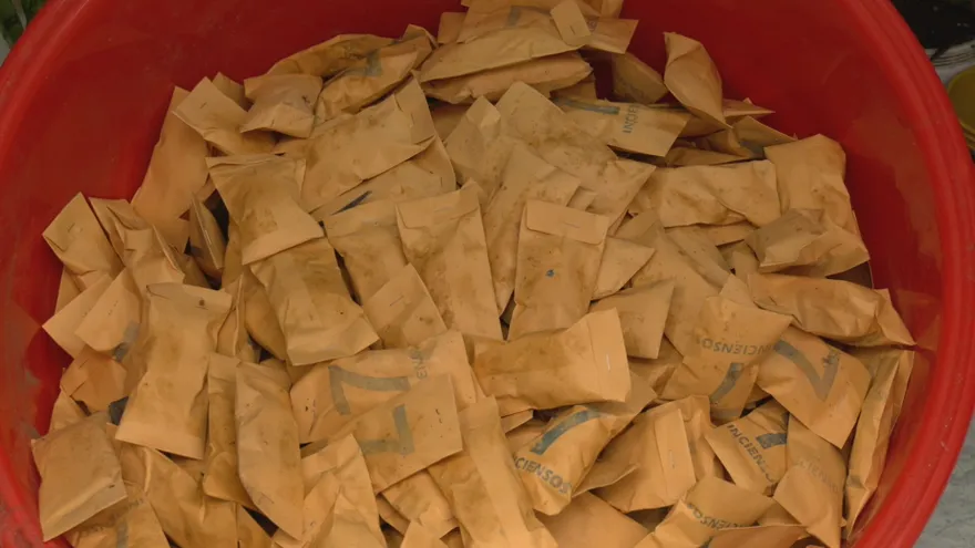 'Abre camino', entre los rituales más buscados por quienes esperan cerrar el año con buenas energías