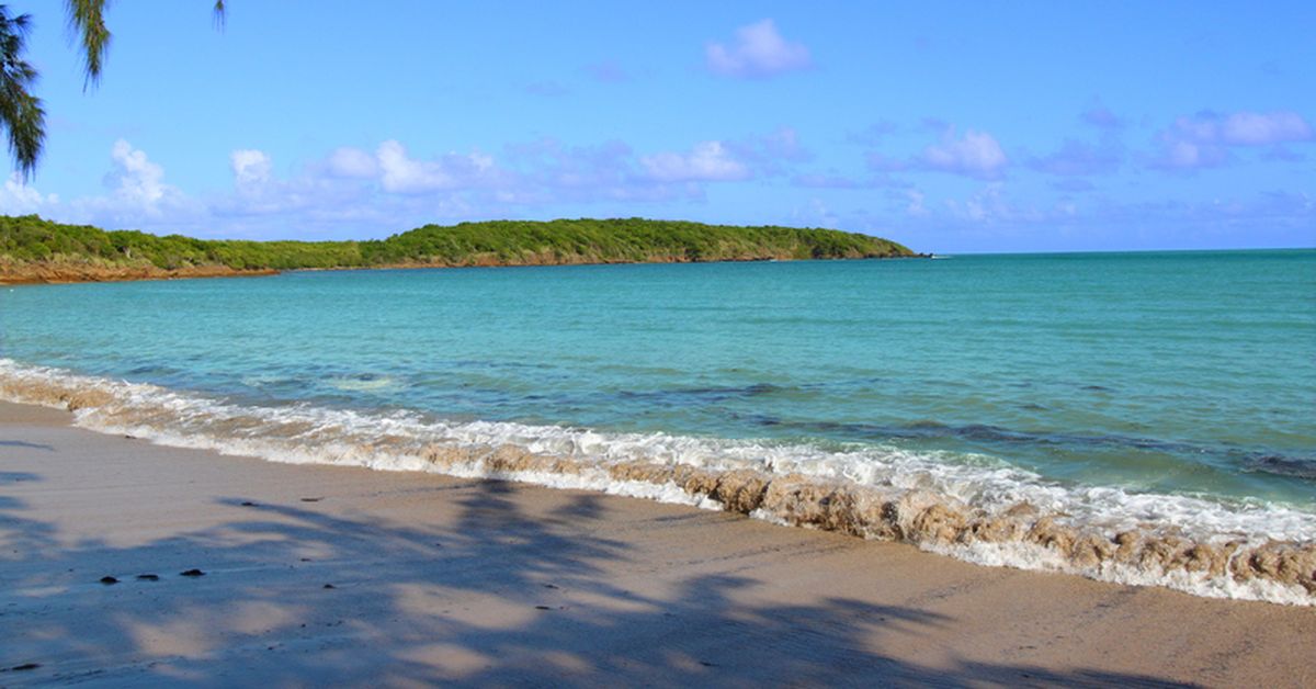 Cinco playas de Puerto Rico están contaminadas con bacterias enterococos Mundo Tvn Panamá