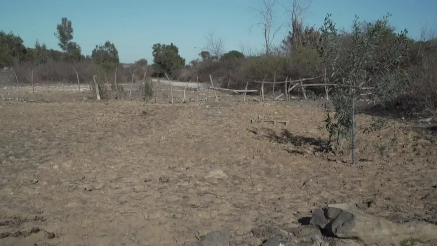 La sequía se agiganta y golpea duro el centro de Chile
