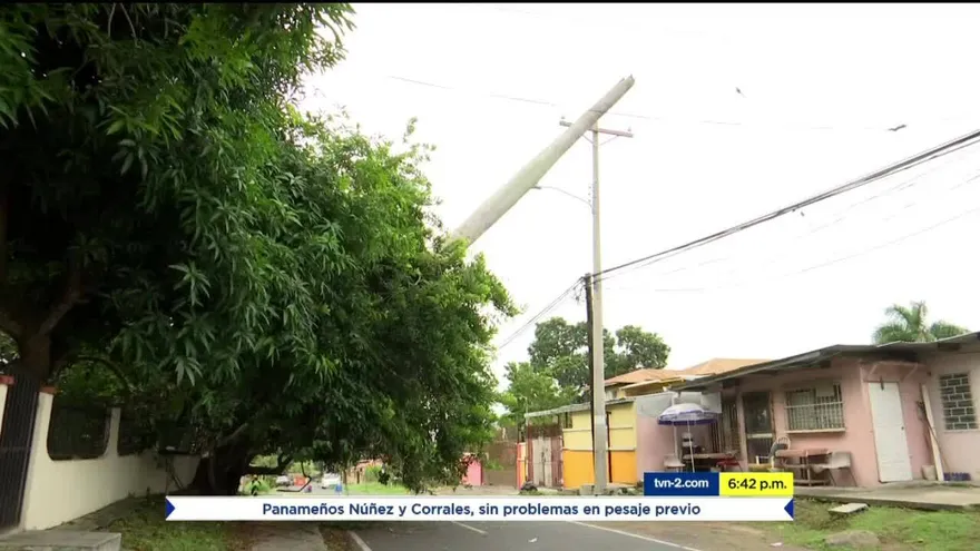 Caída de palma casi destruye hogar en Juan Díaz