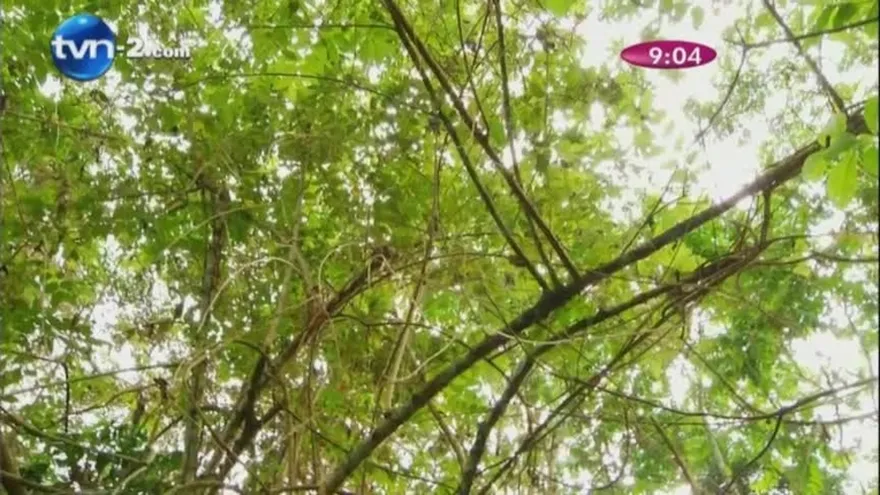 Día  Mundial De La Tierra