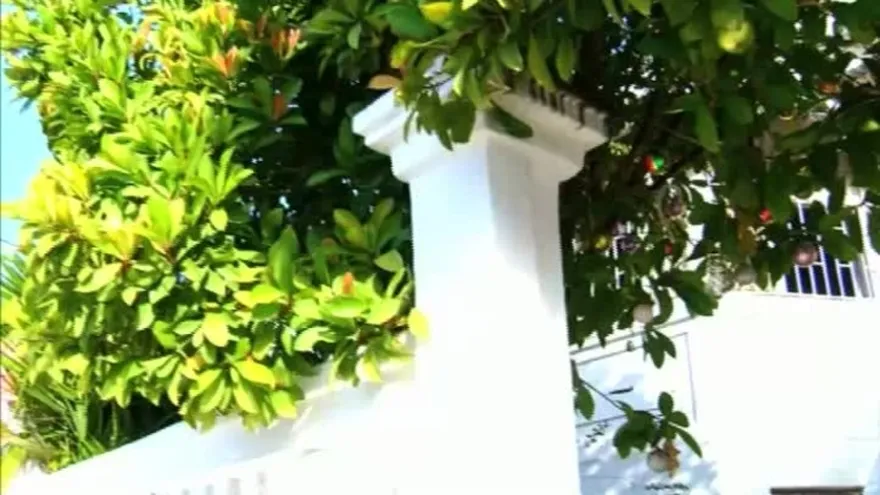 La Historia de la Evolucion de los Teléfono