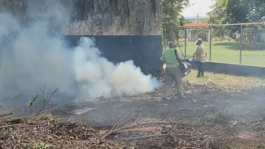 Chiriquí registra sus dos primeras muertes por dengue en 2026; acumula 498 casos