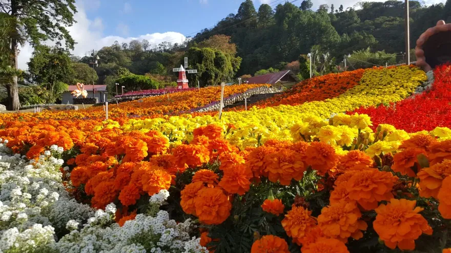 Boquete, la inigualable mezcla de colores, sabores y olores