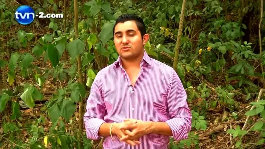 PIES LIBRE DE HONGOS