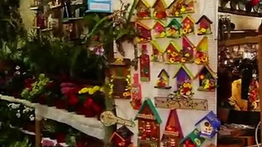 ¡En Chiriquí! Chollykid estuvo en Boquete, Expo Orquídeas