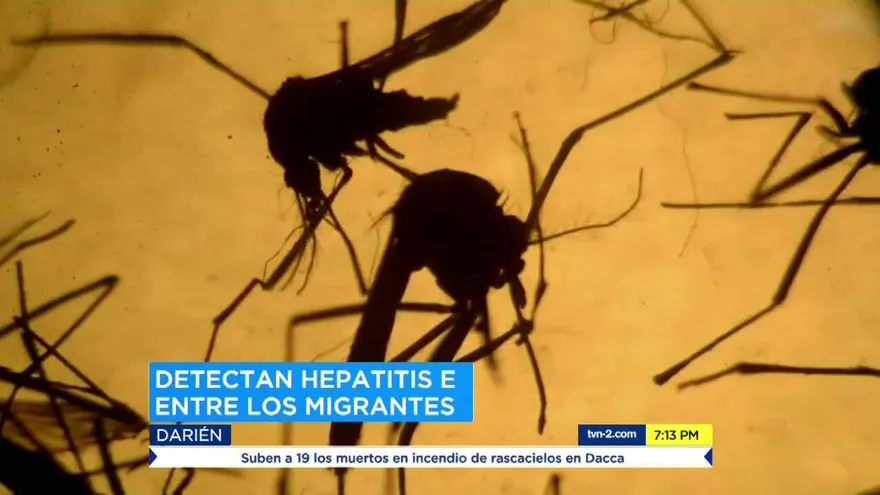 Realizan investigaciones sobre enfermedades en migrantes que llegan a Panamá