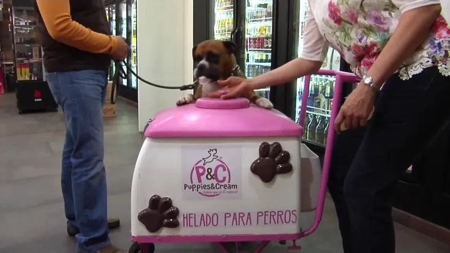 Helados para perros, un paso para la humanización de las mascotas