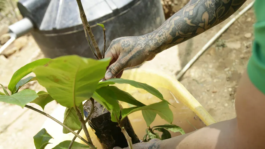 El innovador programa de reciclaje que ha humanizado un penal panameño. EFE