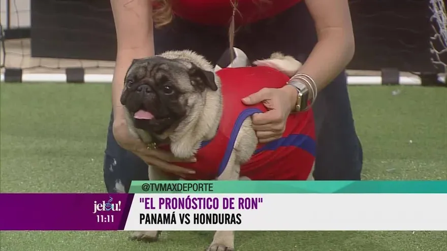 El #JelouDog hace su predicción del partido