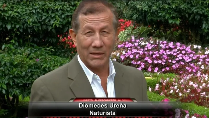 Remedio para el mal olor en los pies