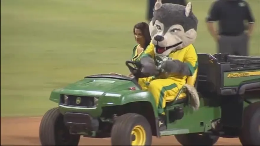 LOBO MAX LIMPIANDO EL CUADR