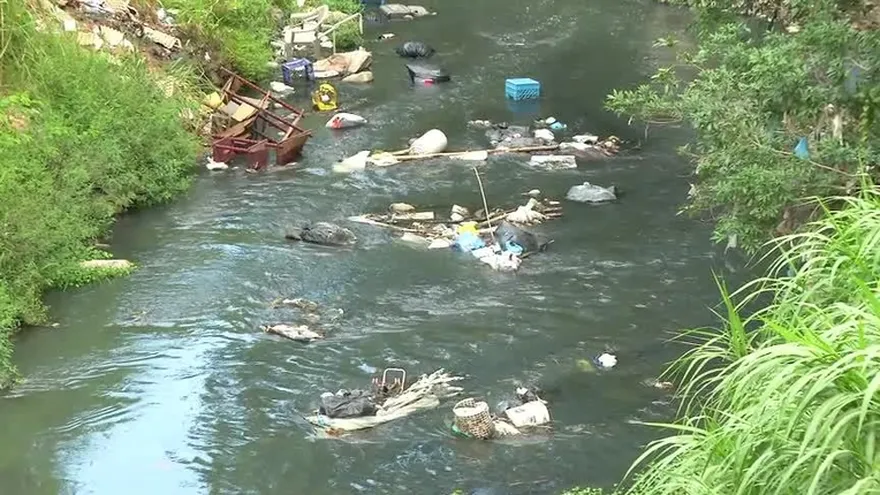 Virus zika llega a San Miguelito