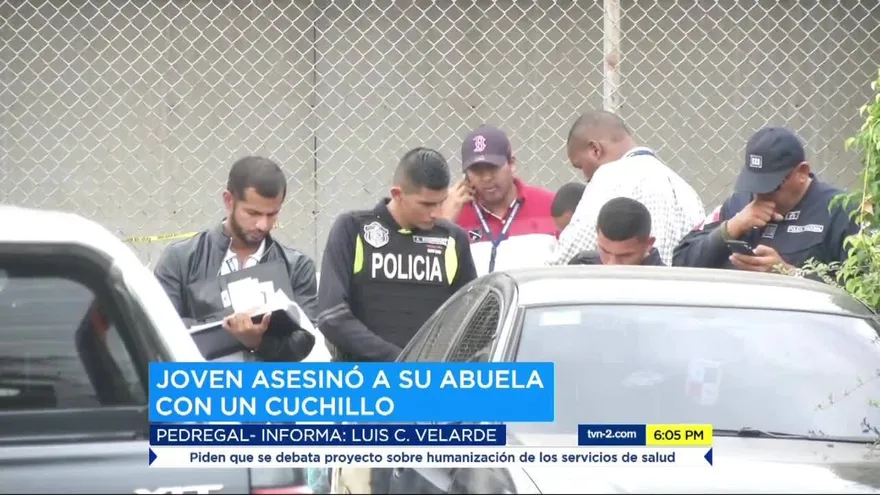 Un joven asesinó a su abuela en Pedregal