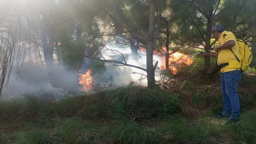 Panama wildfire contained near Volcán Barú National Park after burning four hectares