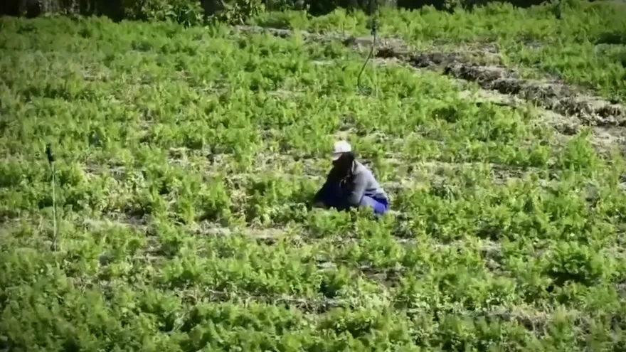 Entre promesas y pendientes: Agro y laboral