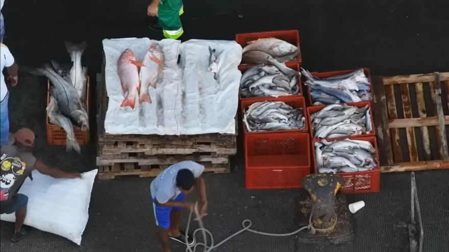 Cambio climático obliga a pescadores a adentrarse más en el mar