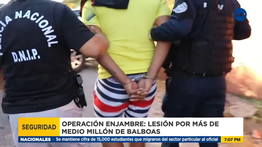 Varios detenidos en la operación Enjambre