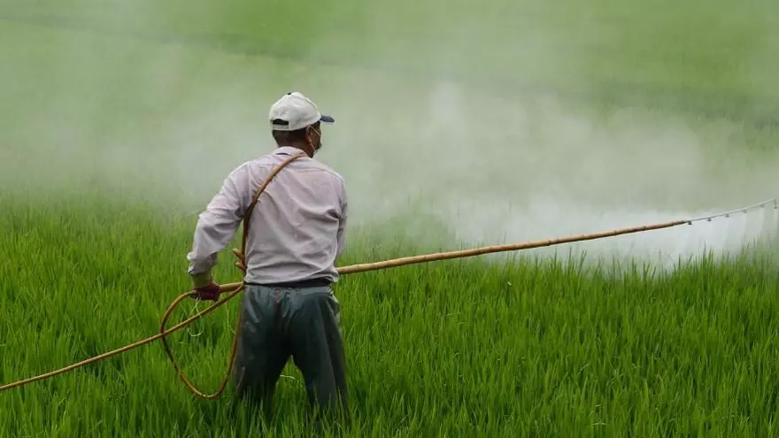 Riego de pesticida