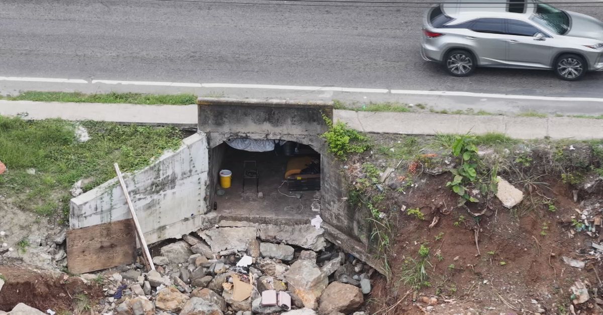 Contenido Exclusivo: Habitantes en el olvido