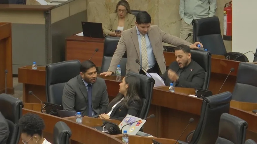 El anteproyecto de ley debrá ser discutido en la Comisión de Gobierno.