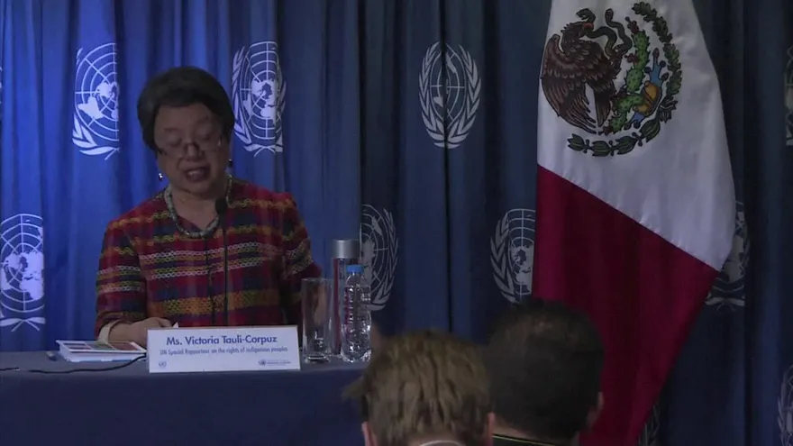 ONU alerta sobre desaparición de niños indígenas en México