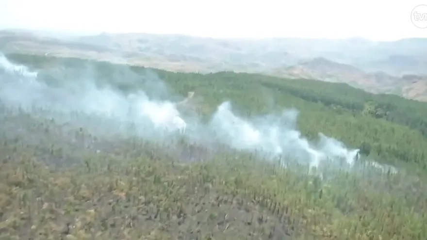 Incendio en La Yeguada.