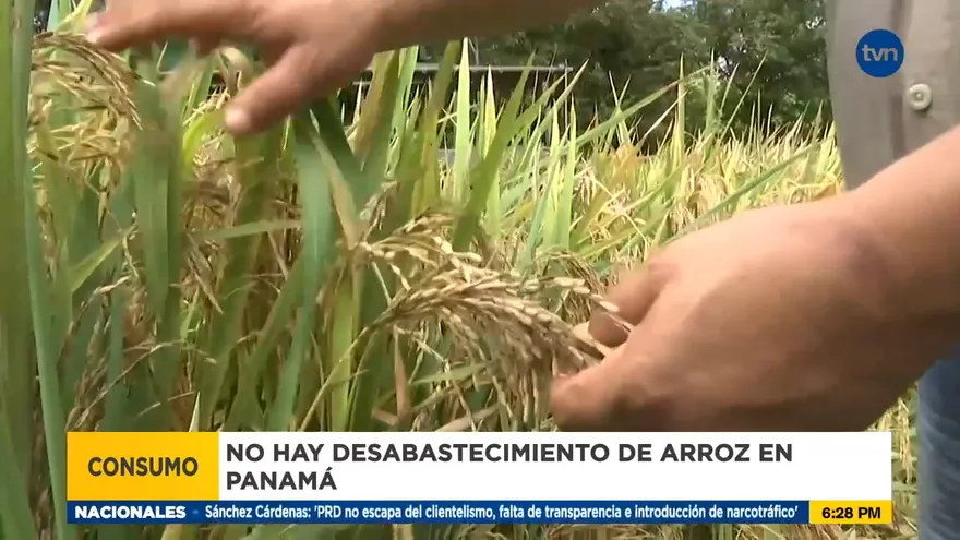 Descartan desabastecimiento de arroz a pesar de la guerra entre Rusia y Ucrania