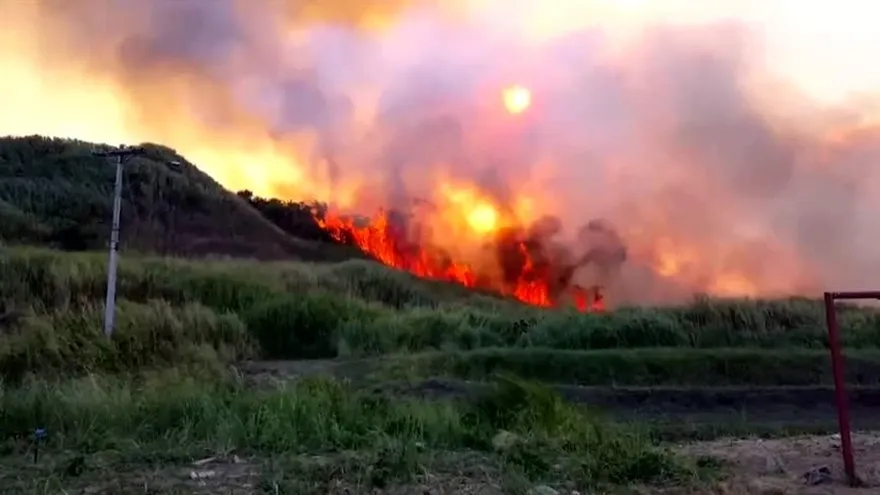Bajo la lupa: El costo de los incendios de herbazales