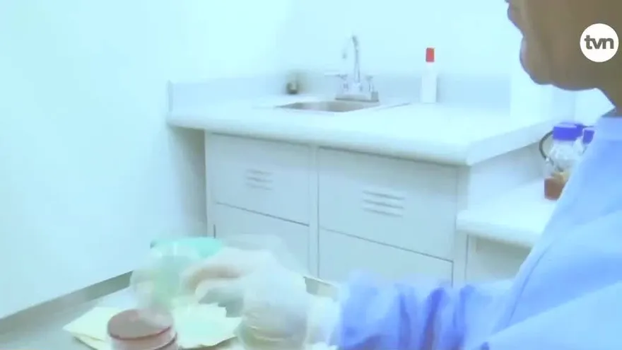 Más de 60 estudiantes participan de Olimpiadas Latinoamericanas de Astronomía y Astronáutica