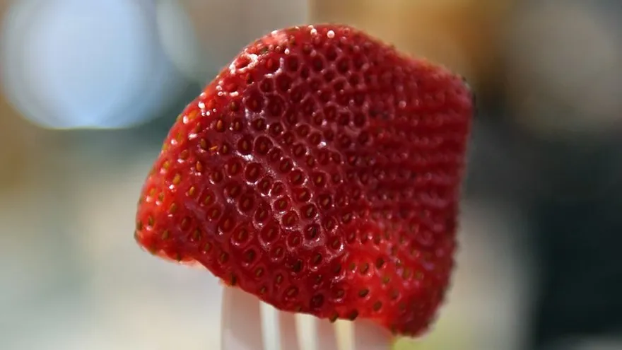 La contaminación de las fresas de supermercado con agujas de coser es comparable al "terrorismo".