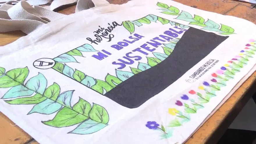 Confirman prohibición de bolsas plásticas para comercio en Chile