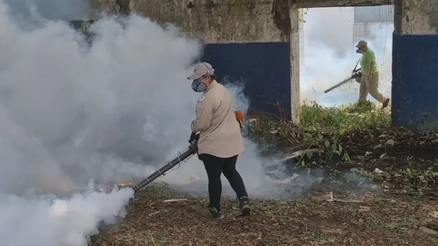 Chiriquí registrá más de 200 casos de dengue