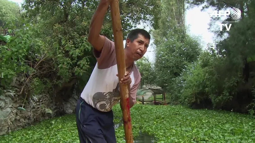 México: La vida en los canales de Xochimilco